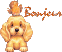bonjour